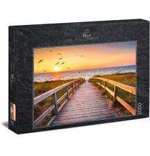 ULMER PUZZLESCHMIEDE 2000