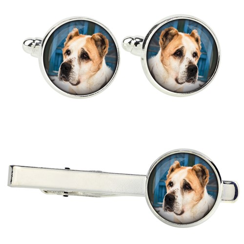 Cane pastore dell asia - cane, dell'asia