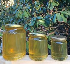 Miele di acacia - italiano - piemontese - alta qualità - 1kg/500g/250g