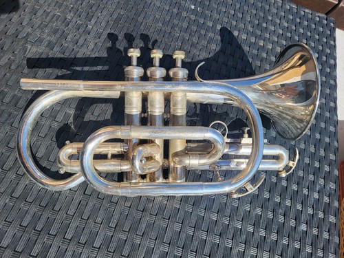 Silver schenkelaars cornet - silver,