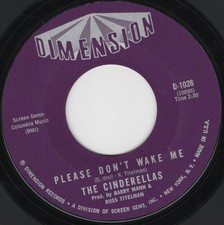 Cinderellas 64 Please Don't