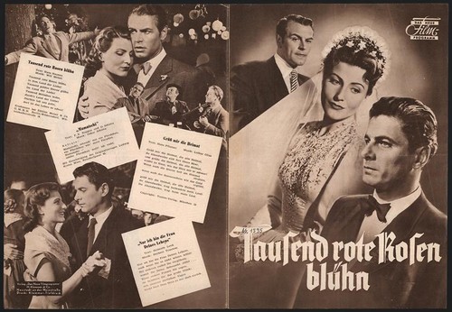 Programma film dnf mille - programma, rose
