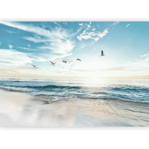 Spiaggia mare paesaggio - mare,