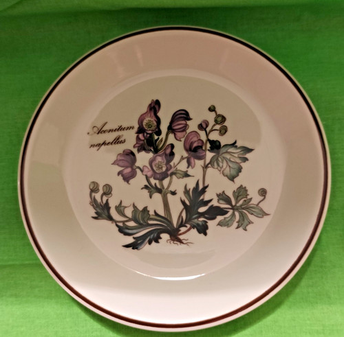 Piatto parete villeroy e - parete,,
