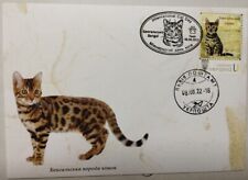 Busta postale gatto del