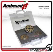 Andreani piston kit and valve