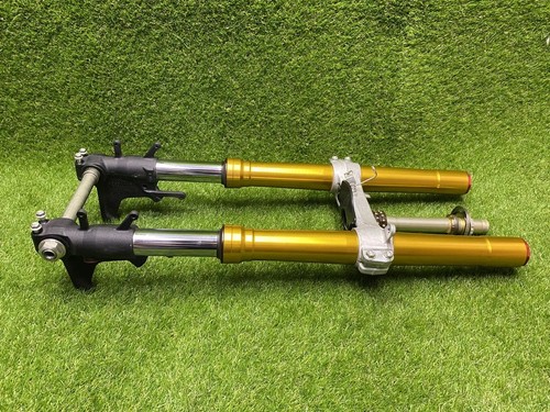 Set ammortizzatori forcella