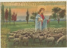 Augurale buon pasqua cartolina - augurale,