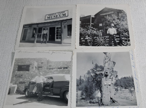 Foto anni angeles camp - foto,