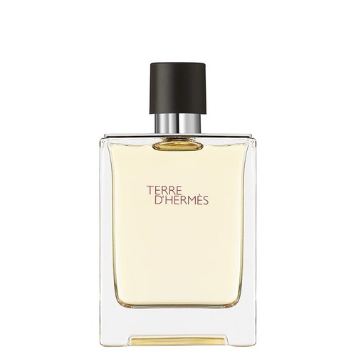 Hermès terre hermes 100ml - d'hermes,