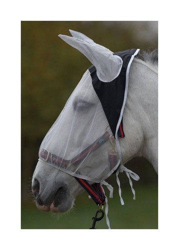 Maschera antimosche - , hy