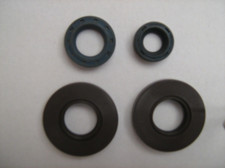 Fantic Motor Serie paraoli per