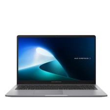 ASUS ExpertBook P1