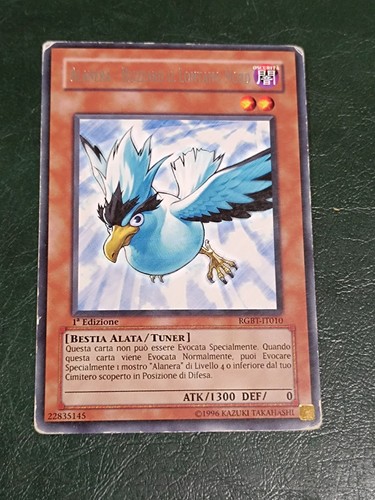 Alanera blizzard il - alanera,