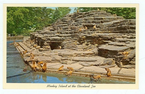 Cleveland ohio monkey - ohio,, island