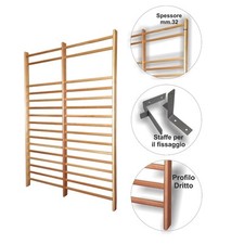 Spalliera svedese 2 campate