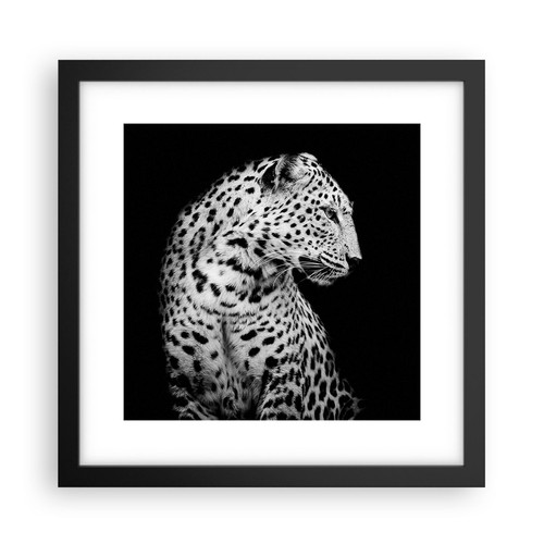 Poster 30x30cm leopardo - poster,