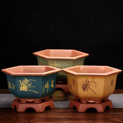Vaso per bonsai esagonale