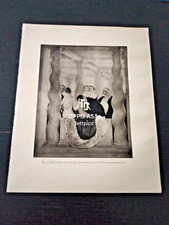 1927 ORIGINALE TAVOLA DI GUIDO