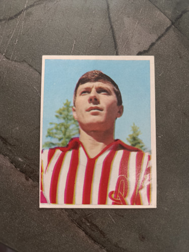 1966 imperia calciatori - 1966-67,