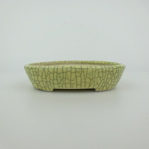 Vaso per bonsai - , giapponese