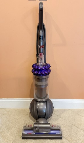 Dyson cinetic big ball animal - big,