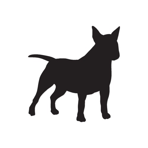 Cane bull terrier miniatura - bull, in