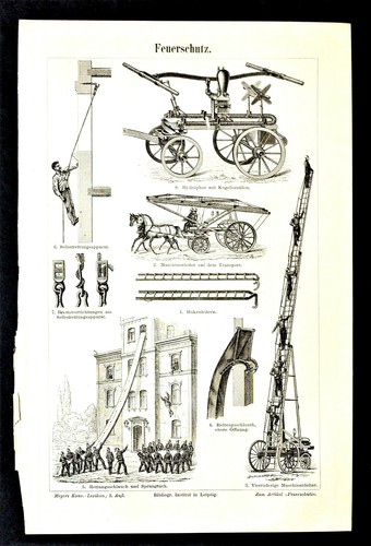 1904 antica stampa - 1904,