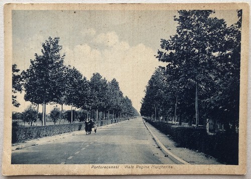 Cartolina portorecanati viale - cartolina,