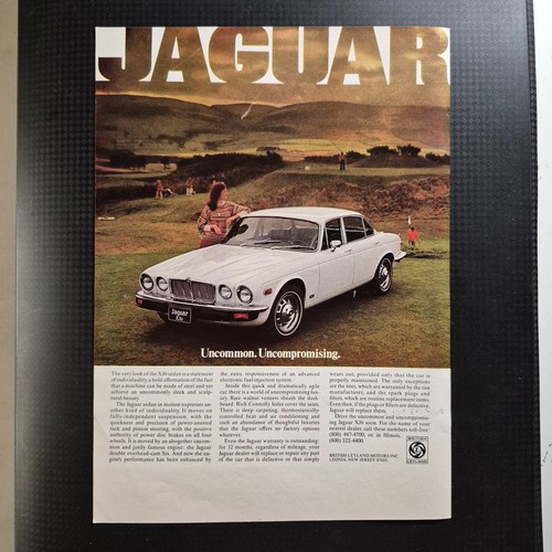 1978 jaguar xj6 original ad - -,