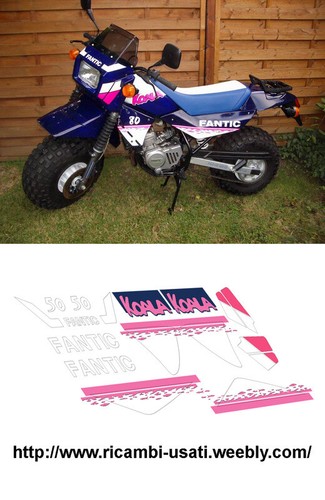 Decal fantic koala - decal,