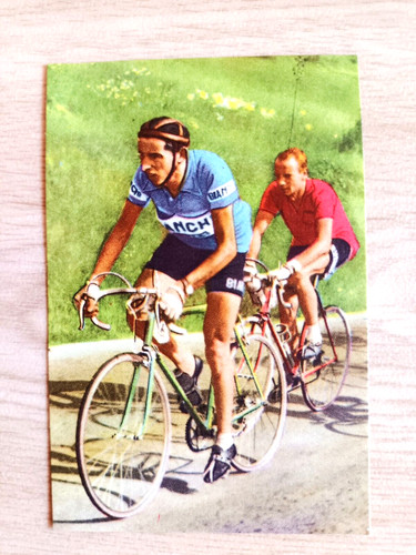 Carta blue band sportboek - carta,