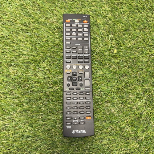 Telecomando ricevitore home