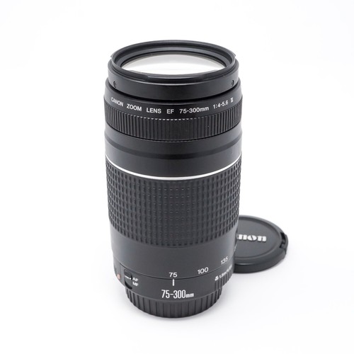 Canon 300mm 5 - canon, ef