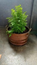 Oval copper vase holder 34x29 - copper,