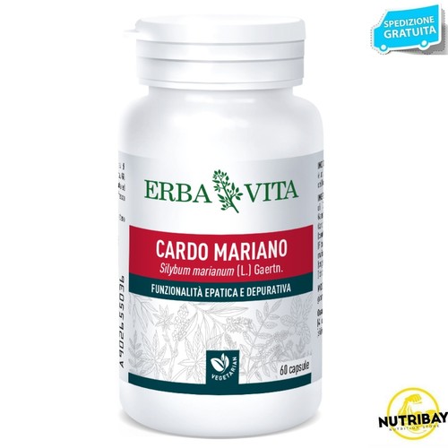 Erba vita cardo mariano - erba,