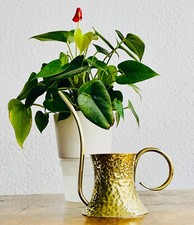 Raro annaffiatoio design in ottone Hayno Focken Giebichenstein.