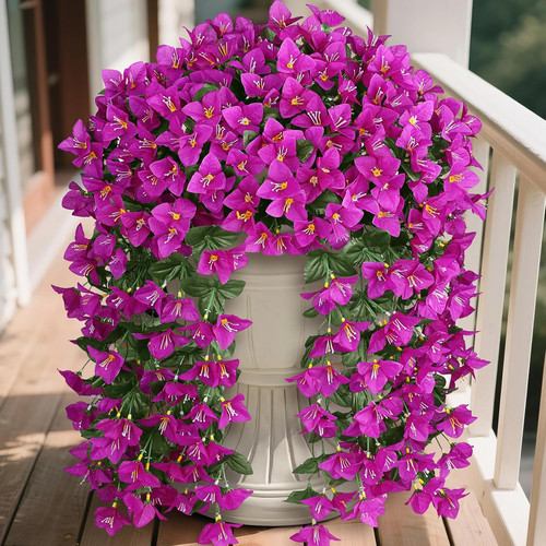 Fiori bouganville - fiori,