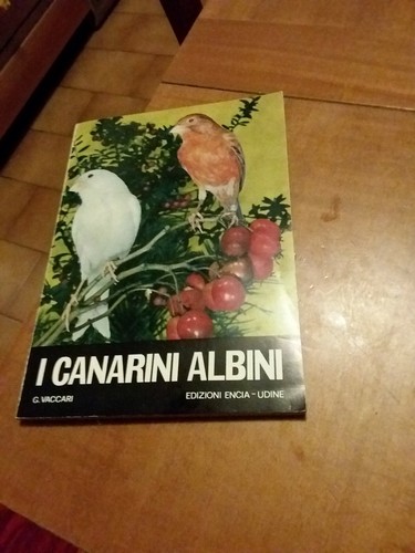 Canarini albini encia - ed,