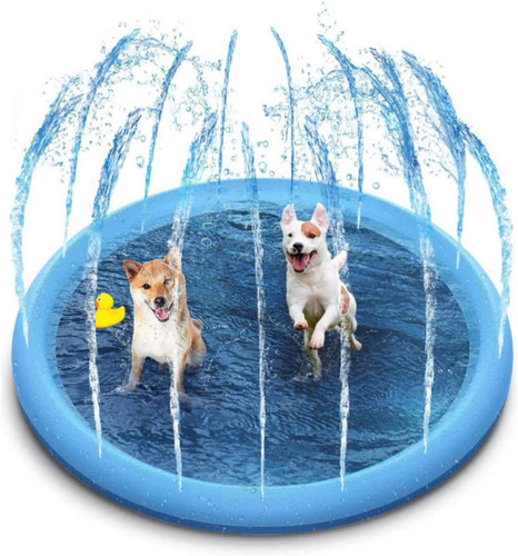 Piscina per cani - piscina,