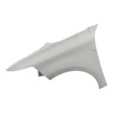 Parafango Anteriore Sinistro