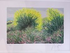 Serigrafia polimaterica di Franco Azzinari