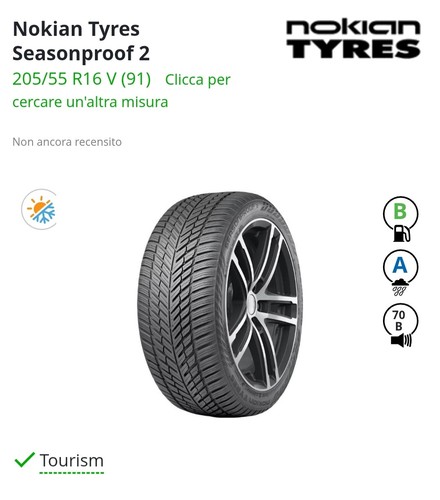 Pneumatici nokian 205 - pneumatici,