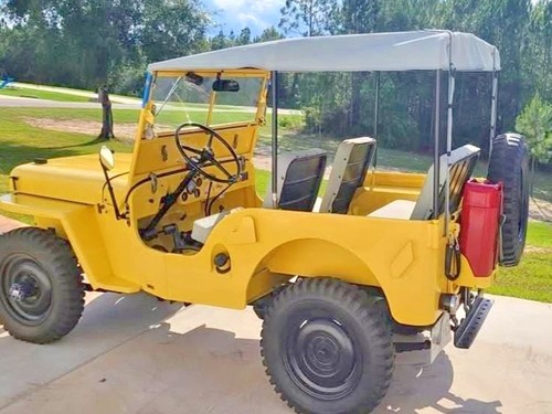 Soft top surrey bimini canva - top,