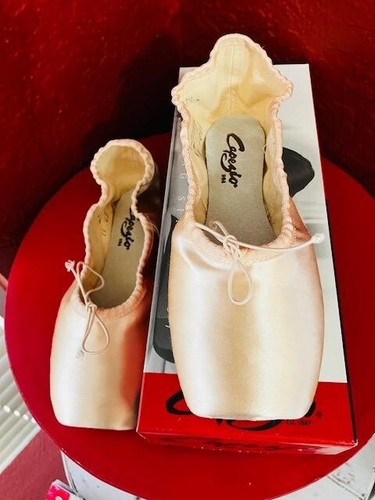 Scarpa ballo capezio tendu - ballo,