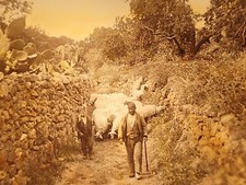 Antique Hand-Colored Magic