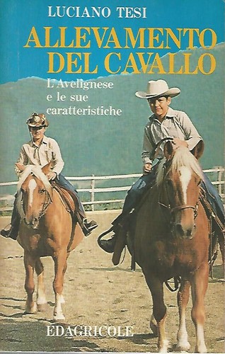 Allevamento del cavallo