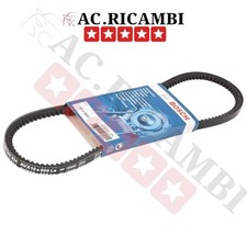 Cinghia 10x800 Trapezoidale