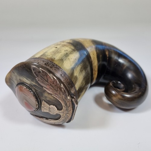 Antique 19thc scottish horn - antique,