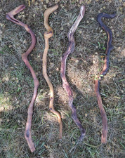 (Lotto 4) Bastoncini da